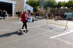 DSCN1262