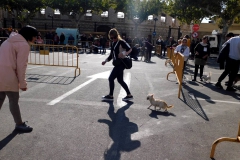 DSCN1277