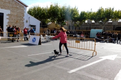 DSCN1318