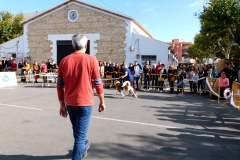 DSCN1336