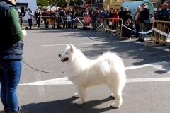 DSCN1376