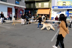 DSCN1398