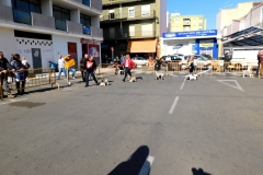 DSCN1558