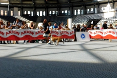 DSCN0547