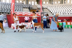 DSCN0619