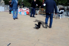 SAM_7365